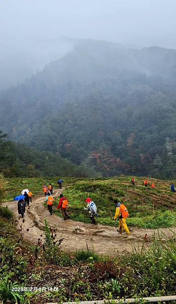 【運動人生】平多縱走 百岳觀景台 親民縱走路線