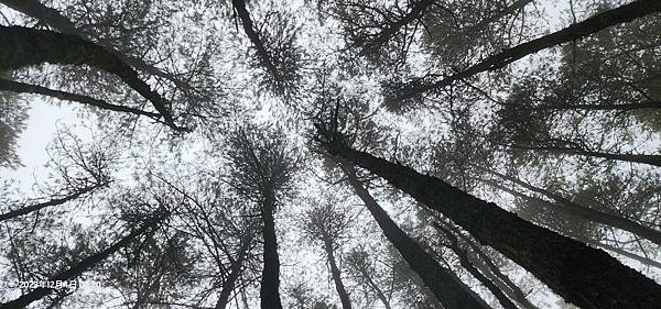 平多縱走 百岳觀景台 親民縱走路線