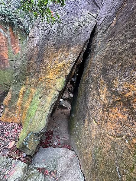 北投五岩七山｜大屯山系｜軍艦岩親山步道｜漫步北投溫柔鄉｜搭大
