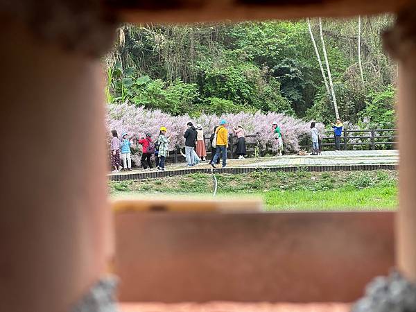 【運動人生】2024集集鐵道半程馬拉松~跟著大夥跑旅去