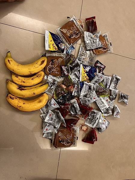 【運動人生】2024苗栗魅力海岸線~綠光海風自行車活動~跟著