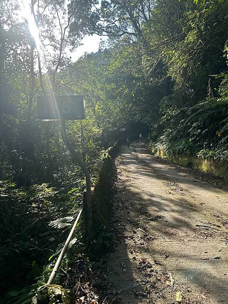 【運動人生】夏天這麼熱怎麼跑?那就來趟桶后林道跑旅初邂逅 【運動人生】夏天這麼熱怎麼跑?那就來趟桶后林道跑旅初邂逅