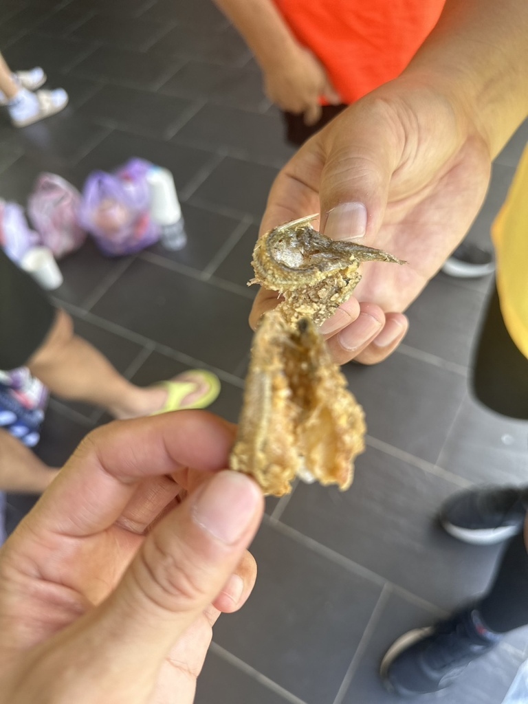 【運動人生】2024日月潭環湖馬拉松 【運動人生】2024日月潭環湖馬拉松