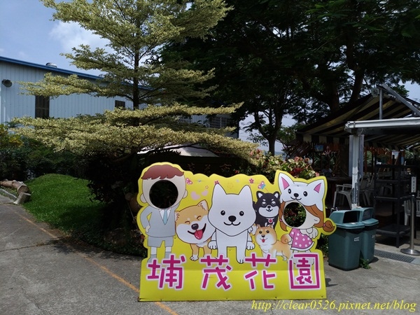 P_20180609_103958_vHDR_Auto