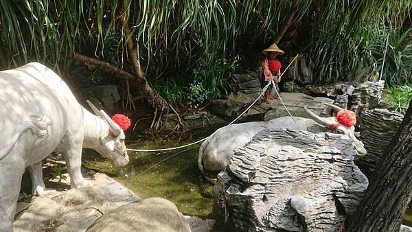 大鯤園水牛