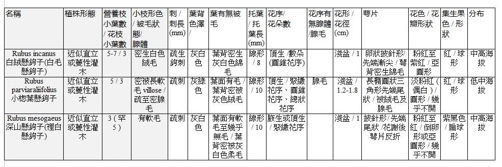 白絨懸鉤子(白毛懸鉤子)&小楤葉懸鉤子&深山懸鉤子(裡白懸鉤子)比較表