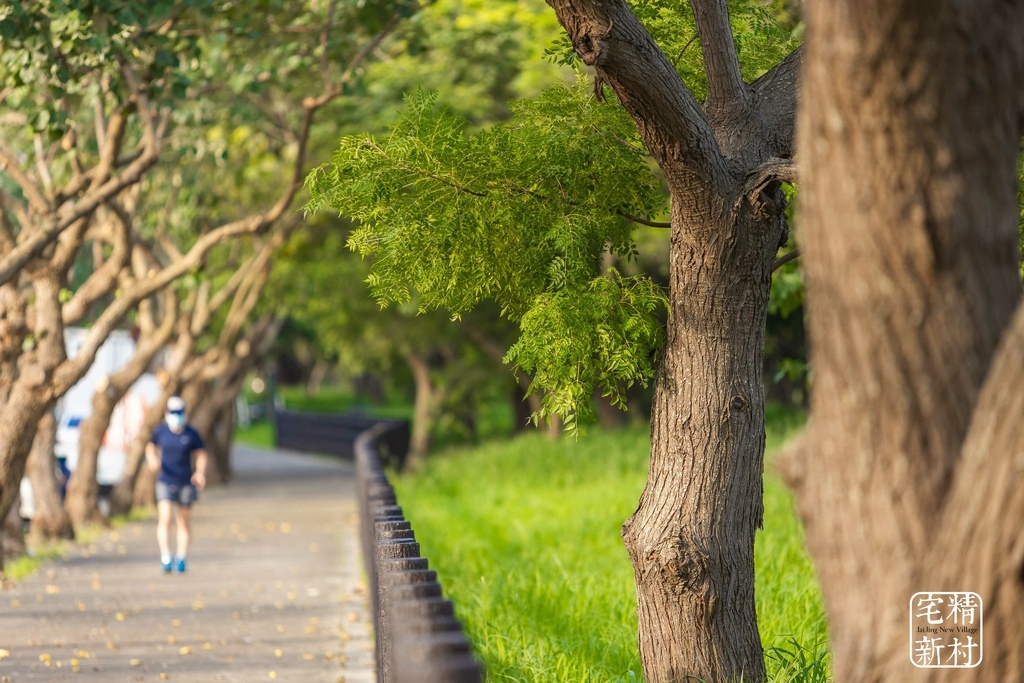 青溪路二段河岸步道.JPG