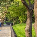 青溪路二段河岸步道.JPG