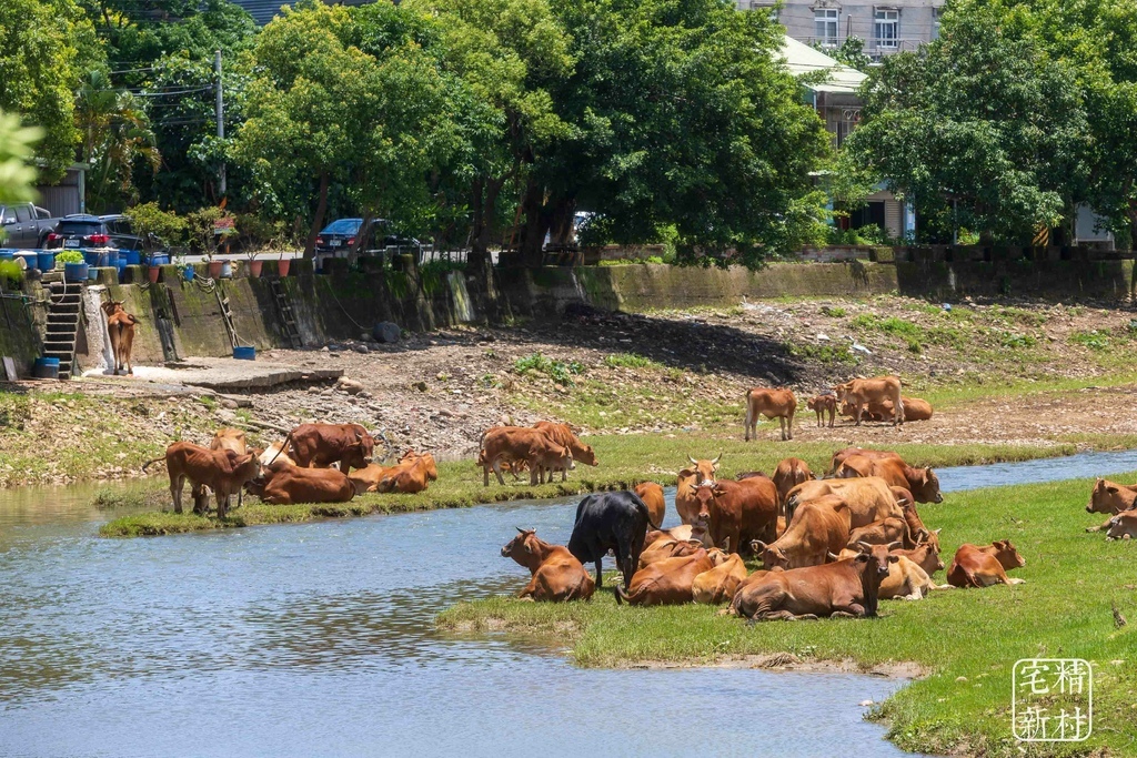 [蘆竹區]佳陞建設 「佳陞豐川」