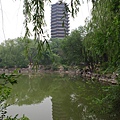 北京大學