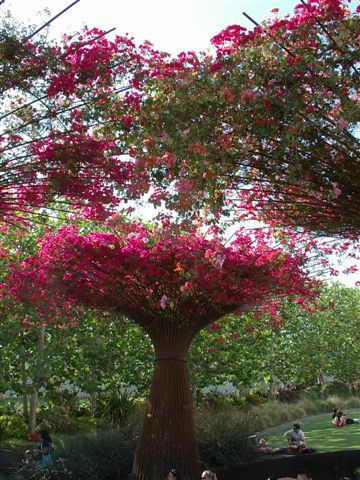 蓋帝中心花園
