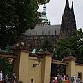 IMGP0256