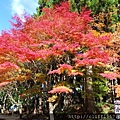 比叡山延曆寺