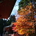 比叡山延曆寺