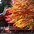 比叡山延曆寺