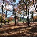 20131118_093118.JPG