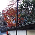 20131116_144759.JPG