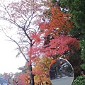 20131116_145047.JPG