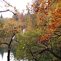 20131016_155116.JPG