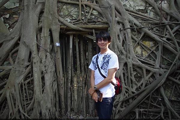 安平樹屋（原為德記洋行倉庫）