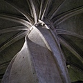 IMG_5187.JPG