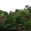 IMGP5473.JPG