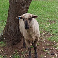 IMGP5465.JPG