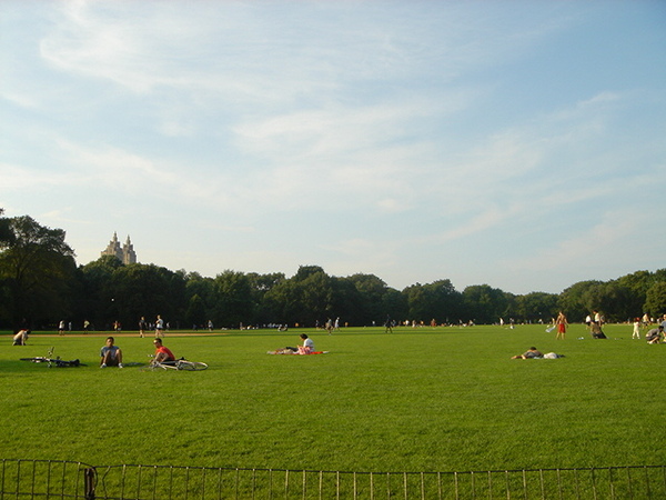 Central Park- Great Lawn