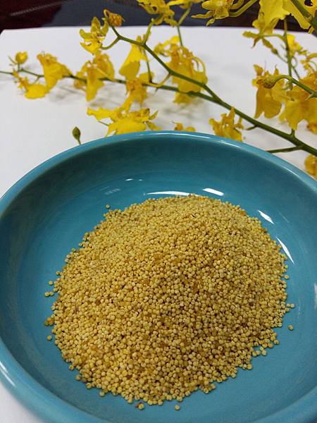 2016-02-21 14.13.09.jpg 2016-02-21 14.13.09.jpg