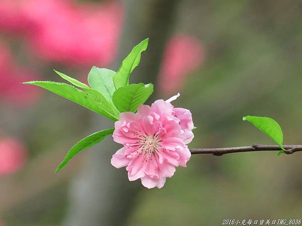 IMG_8038.jpg IMG_8038.jpg