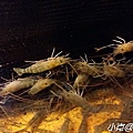 20170402_190735.jpg
