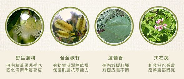 screenshot-www.94shop.com.tw-2017-12-26-22-23-25-653.png screenshot-www.94shop.com.tw-2017-12-26-22-23-25-653.png