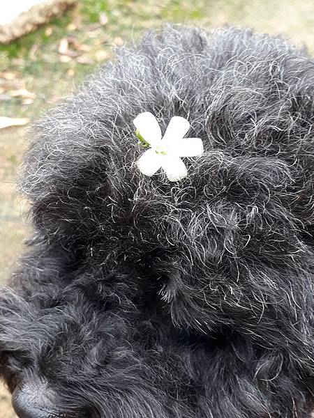 20180826_072021.jpg 20180826_072021.jpg