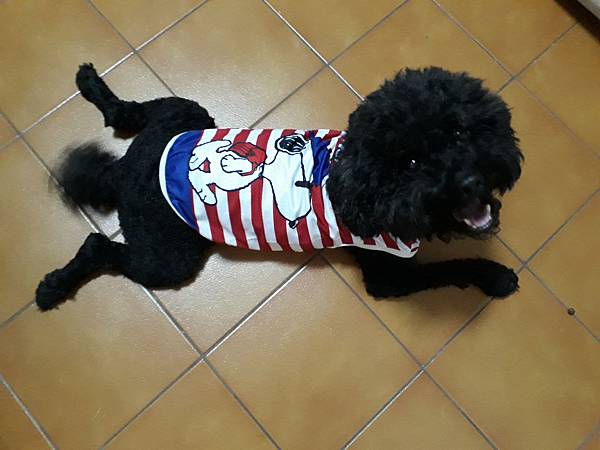 20180903_234538.jpg 20180903_234538.jpg