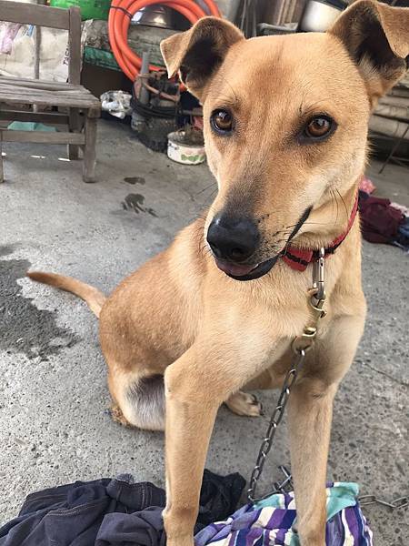 米克斯照片.jpg 米克斯照片.jpg