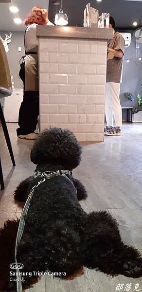 20200610_150800.JPG 20200610_150800.JPG