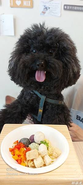 20210427_115038.jpg 20210427_115038.jpg