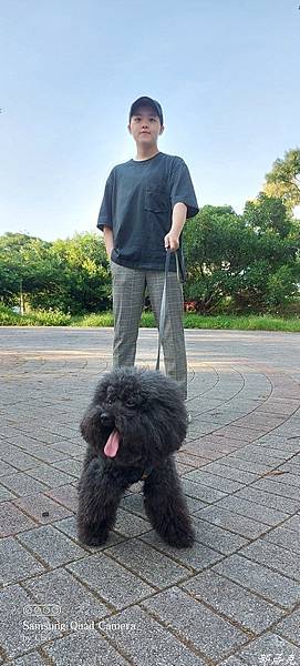 Kaniva卡咪哇寵物食品全齡室內小型犬配方