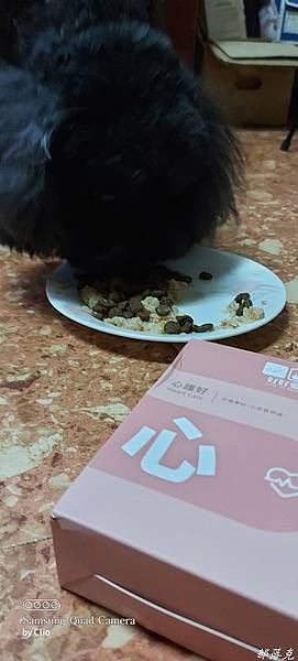 20210714_060217.jpg 20210714_060217.jpg