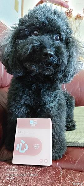 20210714_060619.jpg 20210714_060619.jpg