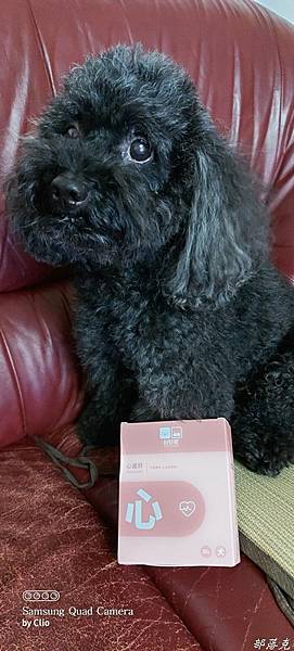 20210714_060533.jpg 20210714_060533.jpg