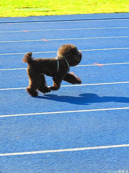 IMG_2892.jpg IMG_2892.jpg