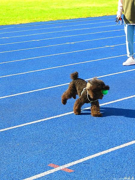 IMG_2885.jpg IMG_2885.jpg