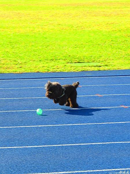 IMG_2890.jpg IMG_2890.jpg