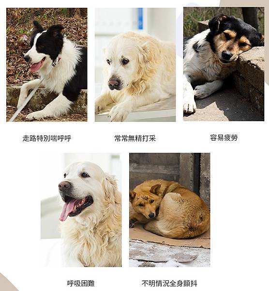 yLZOU2z1.jpg yLZOU2z1.jpg