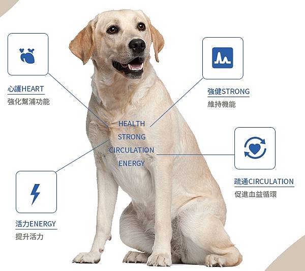 yLZOU2z12.jpg yLZOU2z12.jpg