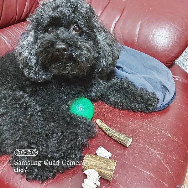 20210807_153043.jpg 20210807_153043.jpg