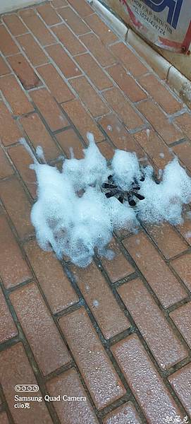 20210901_085801.jpg 20210901_085801.jpg