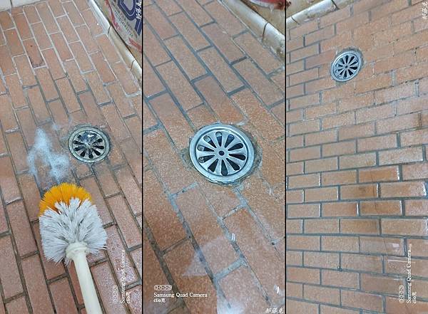 20210901_090421-horz.jpg 20210901_090421-horz.jpg