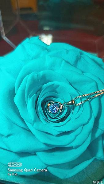 20211206_055538.JPG 20211206_055538.JPG